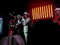 el tigrillo palma   el cajonsito!!!!