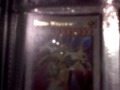 Trade Binder Update
