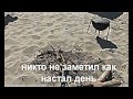 Просмотр видео