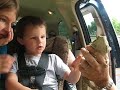 Aiden Brophy Autism Spectrum Bearded Dragon