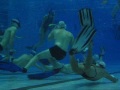 Belgian under water hockey championship 11-11-2007