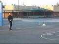 videos de Weekend Flying 11-29-08