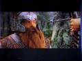 Lord of the Rings: The Fellowship 