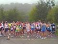 Teign Valley Toddle 12/10/08