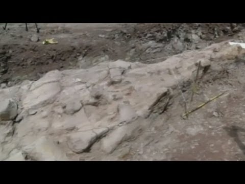 Ancient marine beast, 130 million years old, uncovered