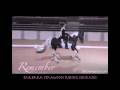 Remembering the 2008 Dancing Horse Challenge