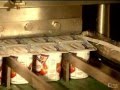 O Segredo das Coisas- Iogurte-  S�rie Discovery Channel