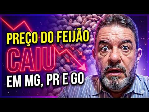 Preço do feijão caiu? Entenda a oscilação em MG, PR e GO.