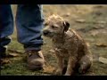 Super Bowl XXXVIII Commercial - Bud Light 2 of 8 (Dogs)