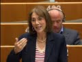 prüm treaty   data protection   rapporteur