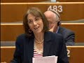 prüm treaty   data protection   rapporteur