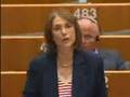 Prüm treaty - data protection - Rapporteur