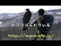 出羽ノ鷹狩 - HAWKING IN DEWA - 01