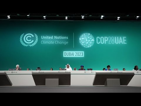 UN-Klimakonferenz: Deutschland und VAE geben g ...