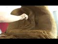 Sand sculpture Sand Kiss (part2 ) Sand sculpture Sand Kiss (part2 )