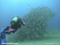 Costa Rica Video