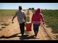 Undocumented Workers Wanted In Kansas