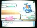 Pokemon Wifi Battle Matamuertos vs aQuaSui