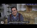 Tomolati Giovanni : La crisi economica quarta e ultima parte Tomolati Giovanni : La crisi economica quarta e ultima parte