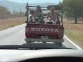 orgt mexico caving  golondrinas guaguas etc 