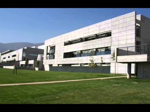 University of Development видео №1