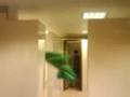 videos de Capa de invisibilidad (toma 2)