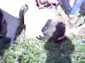 Kurban kesimi -1-