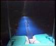 BUBKA動画2