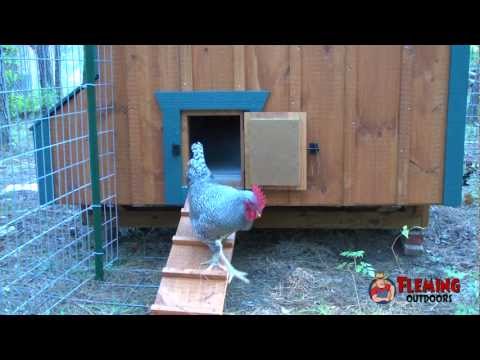 automatic chicken coop door opener backyard chickens chicken coop tour