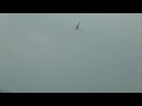 2008 ALIGN Fun Fly Ko-Huan-chen-freestyle