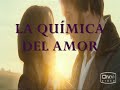 La química del amor