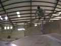 Dolphin Flip