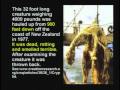 2010-02-13 | 19) Loch Ness Monster, Plesiosaurus, Morgawr, sea serpent, Ogopogo,  (DVD 3, 1hr ~> 19) Loch Ness Monster, Plesiosaurus, Morgawr, sea serpent, sea dragon, existence of a fraud does not PROVE there is not a real one. Issie, USO ...  (<span>9:)