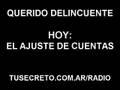 Querido-Delincuente-