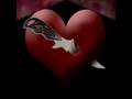 derniere chance