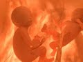 baby-moving-twins.html