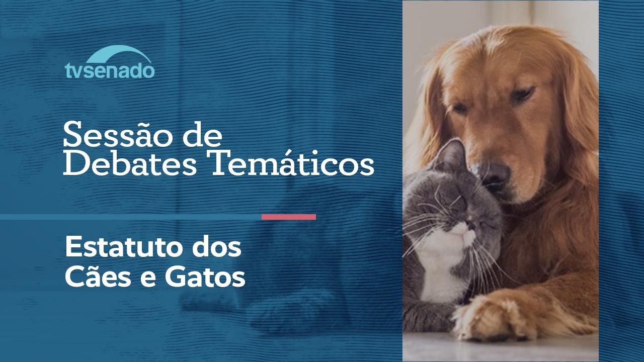 Ao vivo: Plenário debate o Estatuto dos Cães e Gatos – 22/6/26