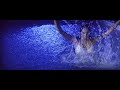 Bipasha Basu in white bikini walks into a swimming pool
