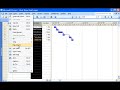 Project 2007 Demo: Add, hide, and show columns in Project