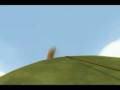 videos de Kiwi!