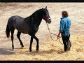 hempfling-art-of-riding.html