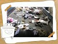 trash_5.mov trash_5.mov