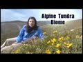 Alpine Tundra: Ecogeeks Episode 3