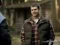 Comedia budweisser perro Comedia budweisser perro