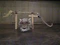Full Sized Taun Taun motion test