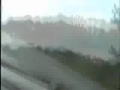 videos estupidos