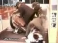 videos estupidos