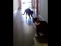 Adela jugando 1