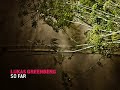 Lukas Greenberg - So far [lounge]