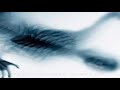 MOHSEN CHAVOSHI - Nefrin